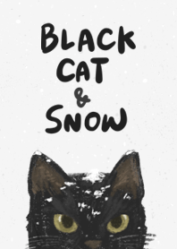 雪中的黑貓