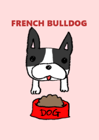 I love french bull dog.