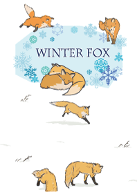 winter fox