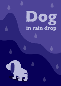 DOG in rain drop