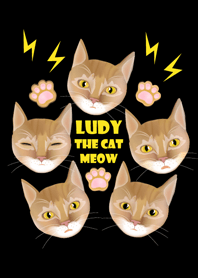 LUDY THE CAT