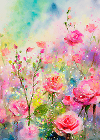 Beautiful rose flower(R5811)