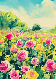 Beautiful rose flower(R4214)