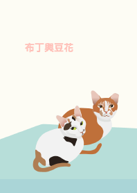 布丁與豆花（橘白貓&三花貓）