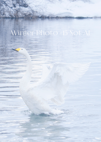 Winter Photo #15-11 Not AI