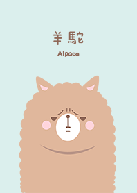 misty cat-Alpaca