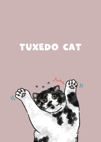 tuxedocat2 / rose pink