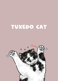 tuxedocat2 - rose pink