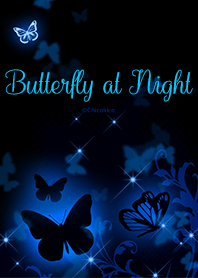 밤에 나비 .