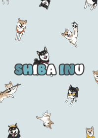 shibainu3 - light green