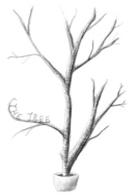 -The Tree-