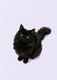 Black Cat Light Purple theme.