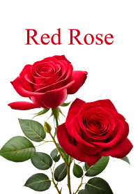"Red Rose vol.7" theme