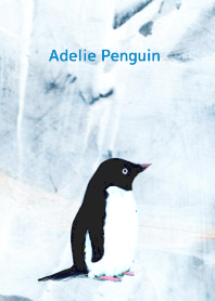 Adelie Penguin Blue