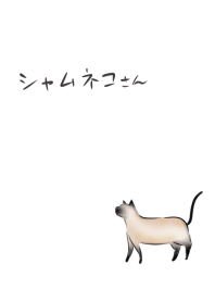 簡單 / 一隻貓