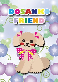 [toy poodle/beige] morning glory