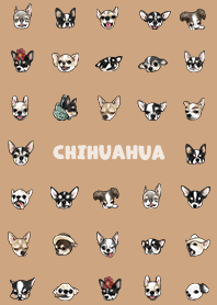 chihuahua2 / burly wood