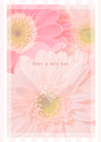 Pink Gerbera Theme -2021- 3