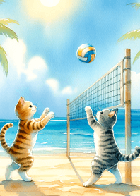 two cats beach volleyball