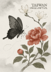 台灣美麗鳳蝶