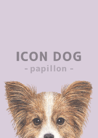 ICON DOG - Papillon - PASTEL PL/02