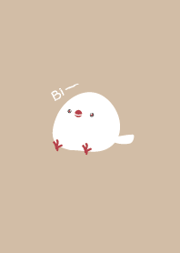 白文鳥BIBI