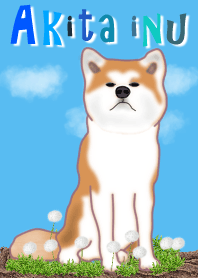 秋田犬