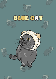 bluecat2 / cadet blue
