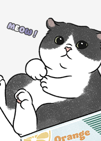 neko single20 / white smoke