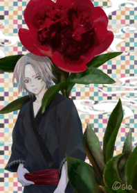 芍薬の花