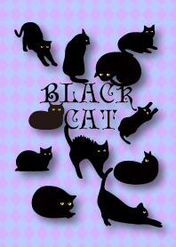 Black pretty cat
