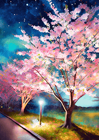 Beautiful night cherry blossoms#2682