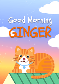 おはようジンジャー猫