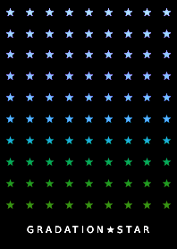 GRADATION STAR THEME -43