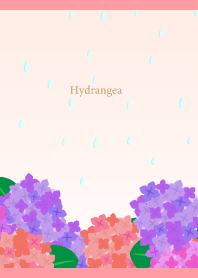 Rain and Hydrangea on light pink