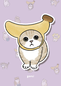 neko combo3 - purple