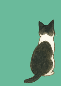 tuxedo cat02 on blue green