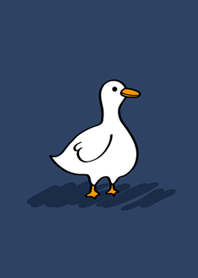 Daze duck-Navy blue