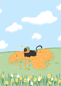 Cat and orange