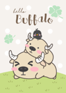 Hello Buffalo.