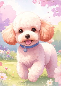 Toy poodle and park Vol.1