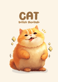Cat Chubby Cute : British Shorthair