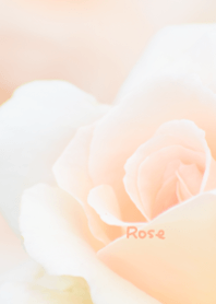 Rose Theme 2