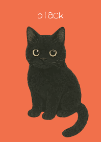 Round Black Cat2 on red & yellow