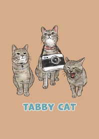 tabbycat11 / burly wood