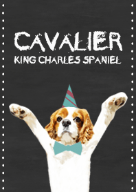 キャバリアのニージ