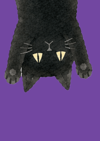 A unique cat08 purple
