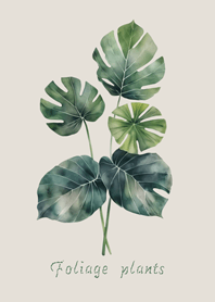 優雅觀葉植物(霧灰咖啡色)