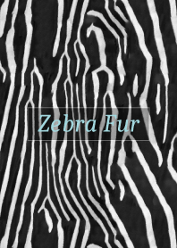 Zebra Fur 51
