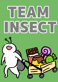 TEAM INSECT